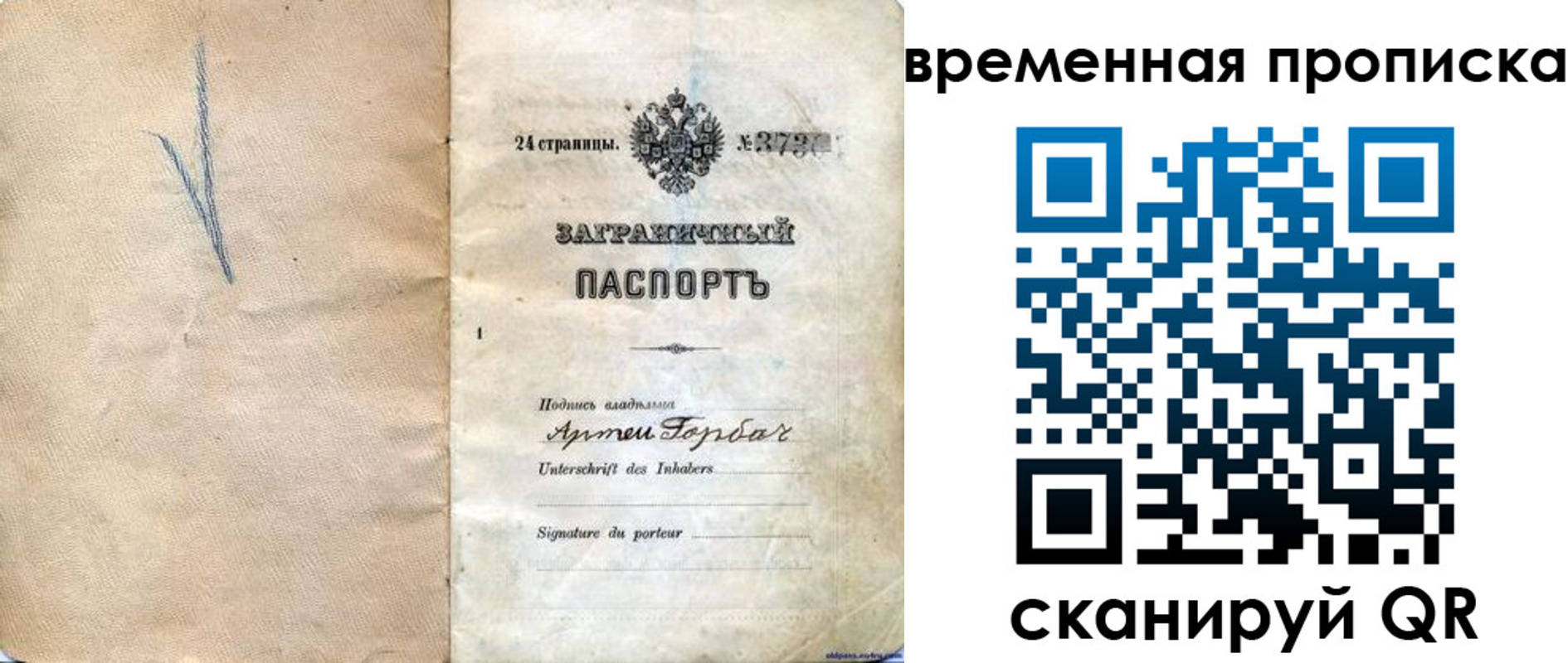 прописка поиск в Йошкар-Оле